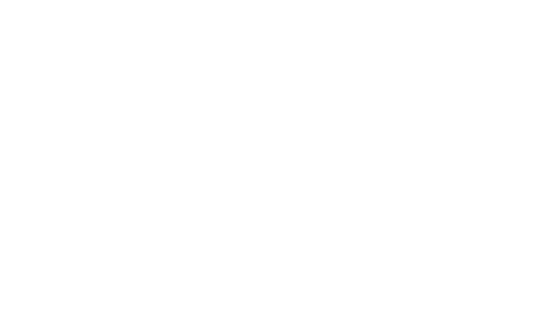 B. Wired Web Designer Logo White